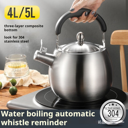 Thick 304 Kettles Customized 4l/5l/6l High Quality Stainless Steel Water Boiler Tea Pot For Induction Stove And Gas Stove